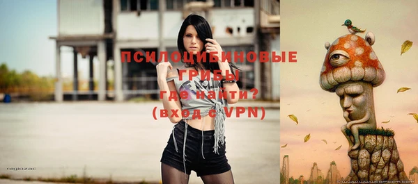 apvp Алексин